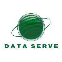 Data Serve - Logo