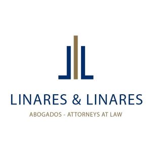 Linares y Linares - Logo